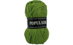 Breigaren populair acryl mosgroen 50 gram, 120 meter