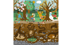 Rolf Puzzels - Puzzel boven en onder de grond - bos
