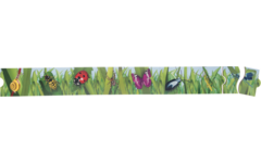 Rolf Puzzels - Puzzel zonder eind - Insecten