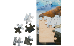 Rolf Connect - Puzzel Poolgebieden, 81 stukjes