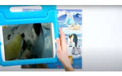 Rolf Connect - Puzzel Poolgebieden, 81 stukjes