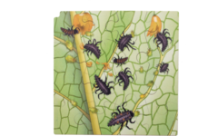 Rolf Connect - Groeipuzzel lieveheersbeestje 28x28 cm 4-lagen 86 stukjes