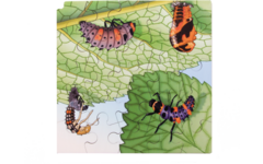 Rolf Connect - Groeipuzzel lieveheersbeestje 28x28 cm 4-lagen 86 stukjes