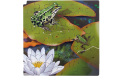 Rolf Connect - Groeipuzzel kikker 28 x 28 cm 4 lagen 86 stukjes
