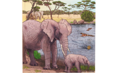 Rolf Puzzels - Puzzel olifanten, 36 stukjes