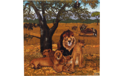 Rolf Puzzels - Puzzel leeuwen, 49 stukjes