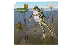 Rolf Puzzelset - Levenscylus, set van 4