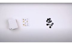 Rolf Basics - Katten of muizen