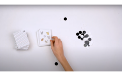 Rolf Basics - Katten of muizen