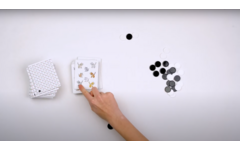 Rolf Basics - Katten of muizen
