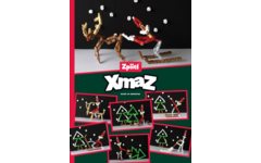 Zpiiel Build & Learn XmaZ 1000 elementen mix. Inclusief A3 XmaZ poster