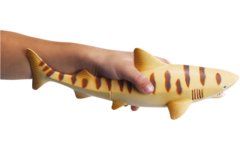 Jumbo zeedieren