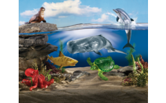 Jumbo zeedieren