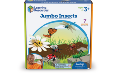 Jumbo insecten