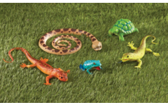 Jumbo Reptielen, Amfibieën