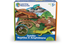 Jumbo Reptielen, Amfibieën