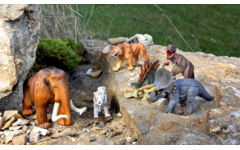 Dierenset, 26 delig