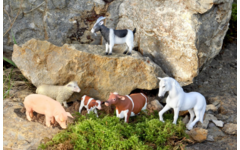 Dierenset, 26 delig