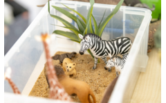 Safaridieren, 13 delig