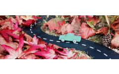 Waytoplay King of the road, 40 delig