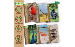 BiOBUDDi Education Big set dieren