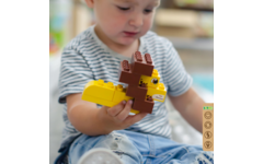 BiOBUDDi Education Big wilde dieren