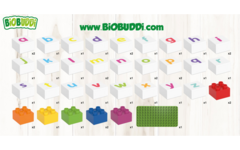 BiOBUDDi Education Big letters