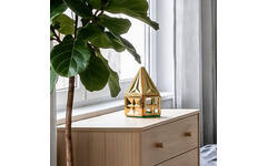 Coblo Goud - 20 stuks