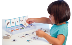 Sorteerset dieren