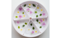 PlayTRAY