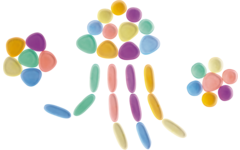 Kiezelstenen Junior in transparante regenboogkleuren