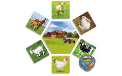 Waar leven dieren?