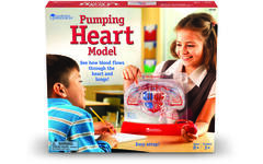 Pompend hart model