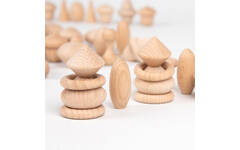 Houten schatten natuurlijke set