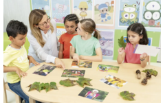 Fotobeelden - De buitenklas
