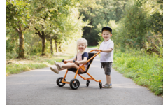TopTrike Buggy