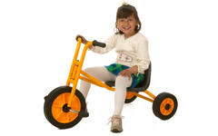 Rabo 7029 easy rider