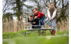 Stuurduwwagen maxi gegalvaniseerd