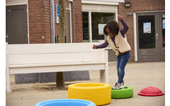 Turtlegym met 3 motorische wielen