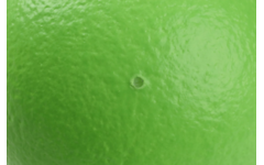 Bal | DRAGONSKIN Soft, Ø 16 cm, 100 g, neon groen