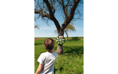 Dart ball, 65 cm