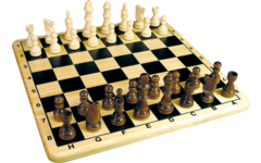 Schaakspel compleet 30 x 30 cm