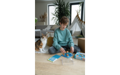 Cat & boxes