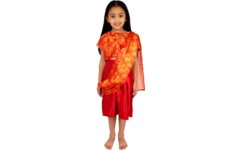 Verkleedkleding Sari, 3-5 jaar