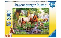 Wilde paarden bij de rivier, 300 stukjes