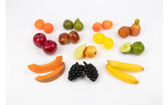 Fruitset, set van 24