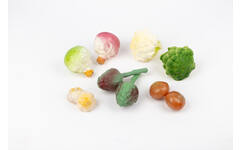 Wintergroente, set van 10