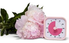 Time Timer® MOD Home Edition - Peony Pink