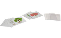 Biologische mapjes groep 1