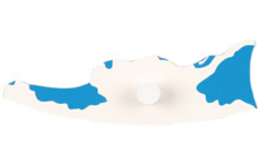 Inlegkaart werelddelen Antartica W.H.
